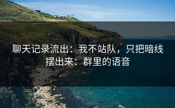聊天记录流出：我不站队，只把暗线摆出来：群里的语音