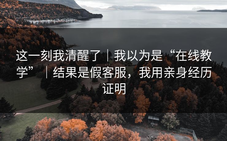 这一刻我清醒了|我以为是“在线教学”|结果是假客服,我用亲身经历证明