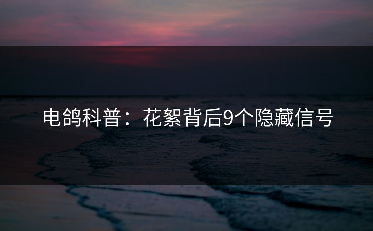 电鸽科普:花絮背后9个隐藏信号 电鸽科普:花絮背后9个隐藏信号