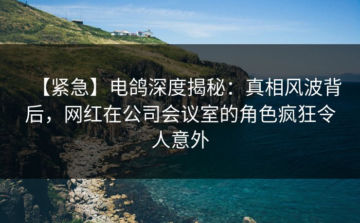 【紧急】电鸽深度揭秘：真相风波背后，网红在公司会议室的角色疯狂令人意外