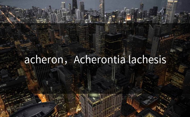 acheron,Acherontia lachesis acheron,Acherontia lachesis