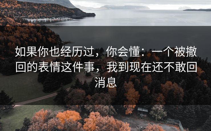 如果你也经历过，你会懂：一个被撤回的表情这件事，我到现在还不敢回消息